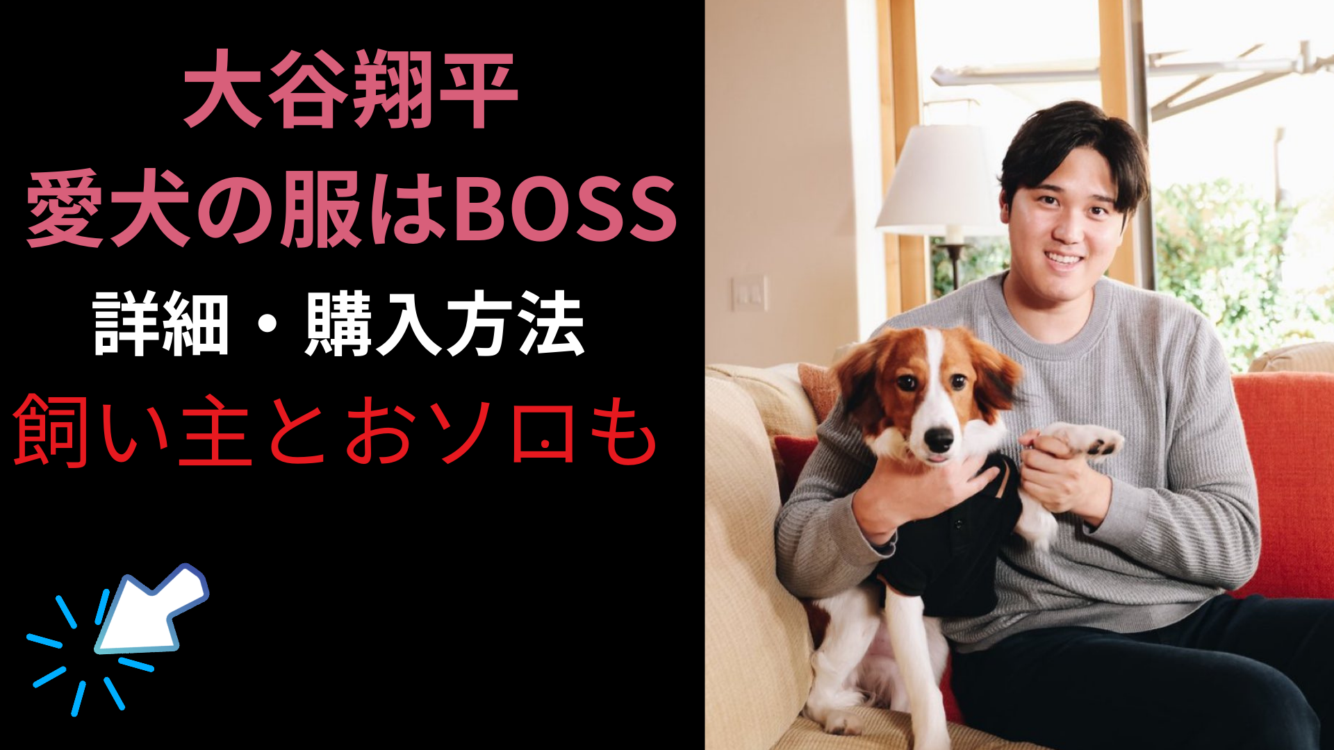 大谷翔平の愛犬の服はBOSSポロシャツ！価格・購入方法！お揃いコーデがかわいい！